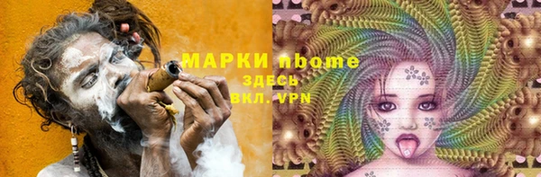 прущие грибы Беломорск