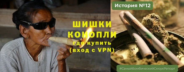 прущие крисы Белокуриха